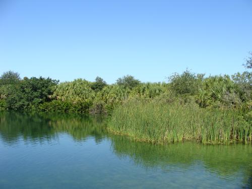 Wall Springs Park