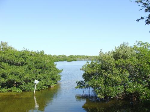 Wall Springs Park